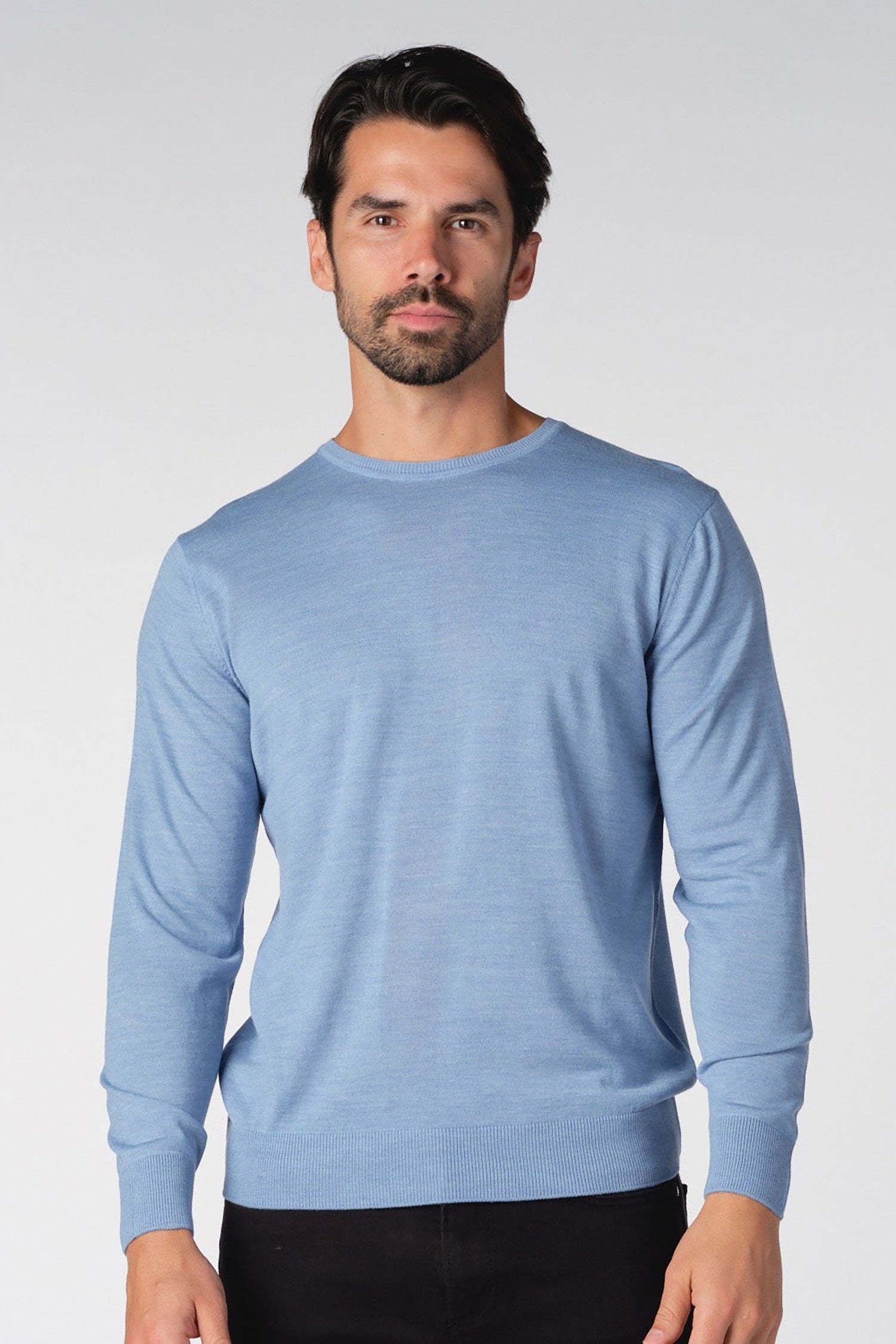 Garnet men's Merino Wool Solid Crew Neck Long Sleeve Sweater BTK 7000