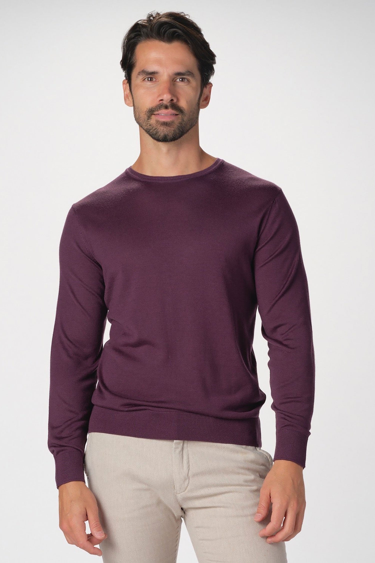 Garnet men's Merino Wool Solid Crew Neck Long Sleeve Sweater BTK 7000