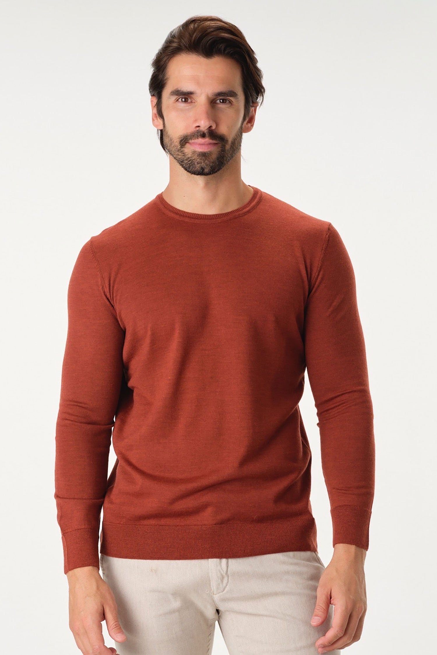 Garnet men's Merino Wool Solid Crew Neck Long Sleeve Sweater BTK 7000
