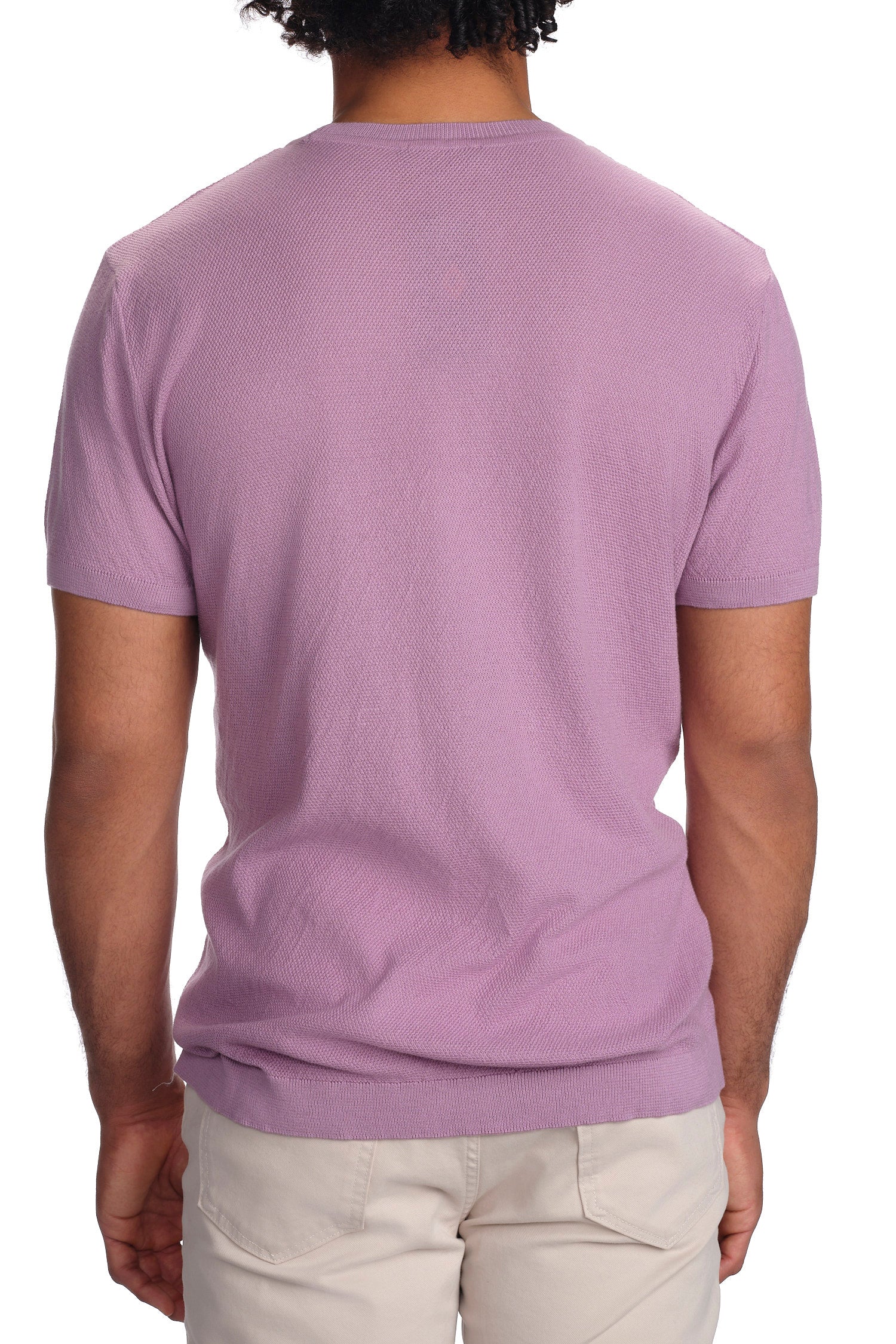 Garnet Men's Honeycomb Crew Neck Short Sleeve Sweater 2418009 Light Purple